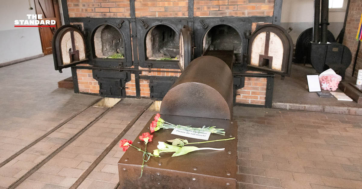 ผู้คนกำลังใช้คอมพิวเตอร์เพื่อค้นหาประวัติบรรพบุรุษที่เกี่ยวข้องกับพรรคนาซีผ่าน Search Engine ของเยอรมนี