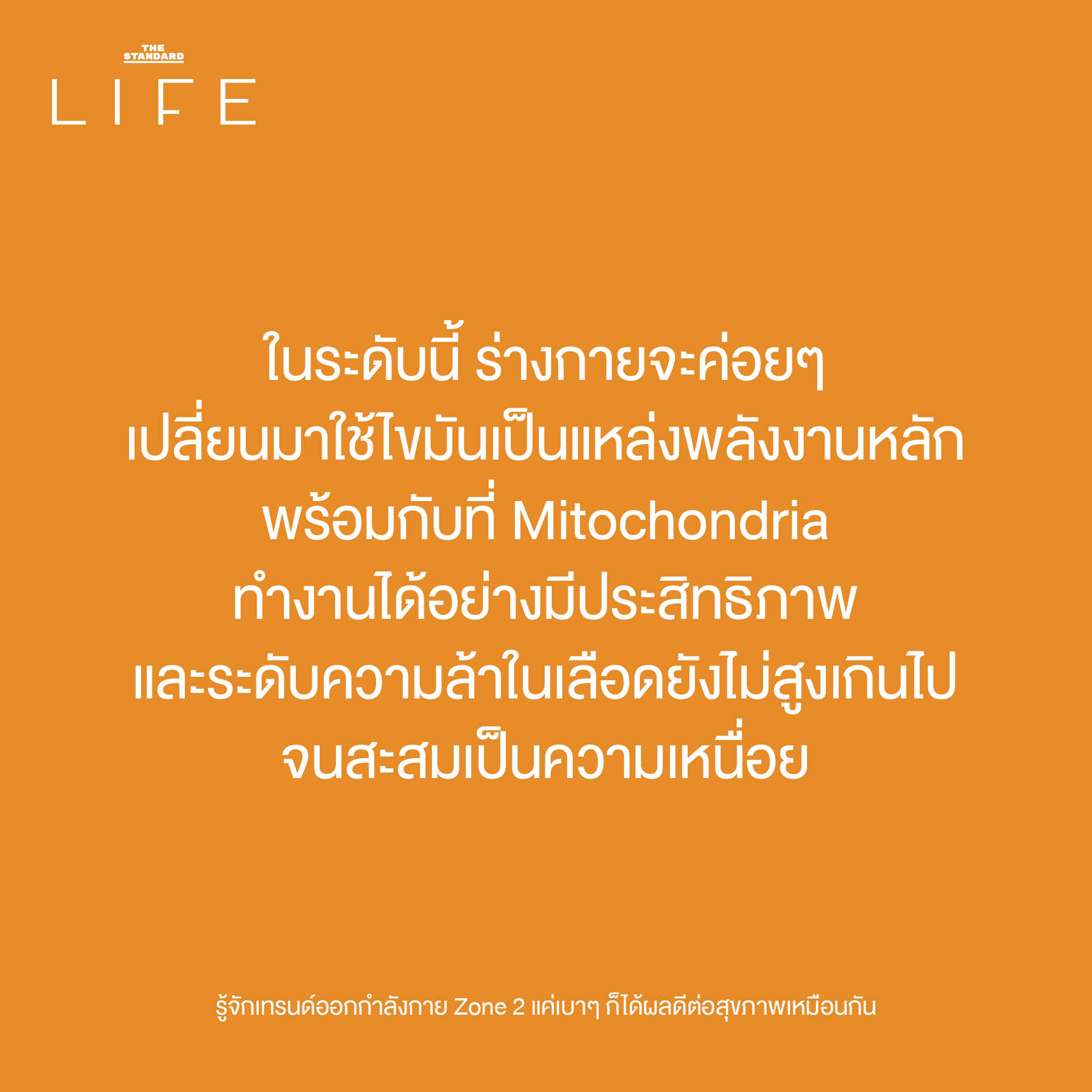 ภาพประกอบแสดงการออกกำลังกาย Zone 2 เช่น การวิ่งเหยาะๆ หรือปั่นจักรยานเบาๆ เพื่อสุขภาพหัวใจ 3