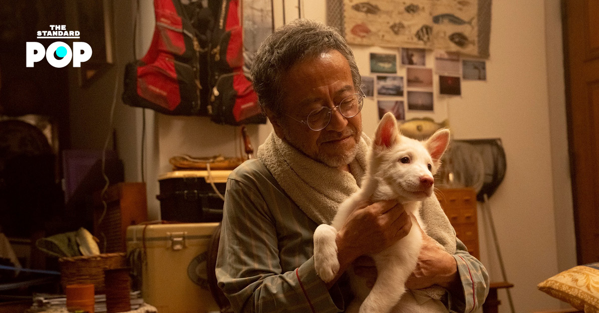 โปสเตอร์ภาพยนตร์ “โกฮัง..หัวใจโกโฮม” เตรียมฉาย Udine Far East Film Festival 2026