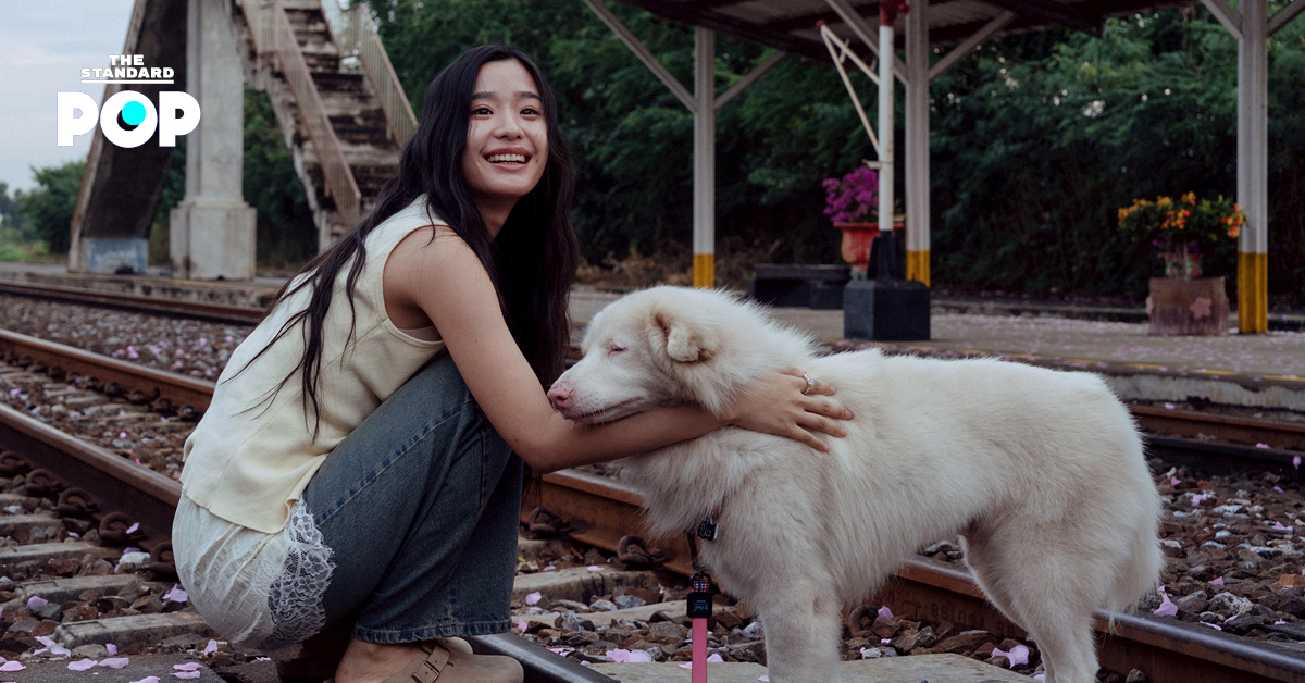 โปสเตอร์ภาพยนตร์ โกฮัง..หัวใจโกโฮม แสดงน้องหมาสีขาวน่ารักและนักแสดง