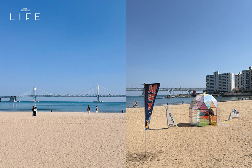 นักวิ่งมาราธอนวิ่งท่ามกลางดอกพ็อดกด (Cherry Blossom) บานสะพรั่งที่เมืองคยองจู ประเทศเกาหลีใต้ 13