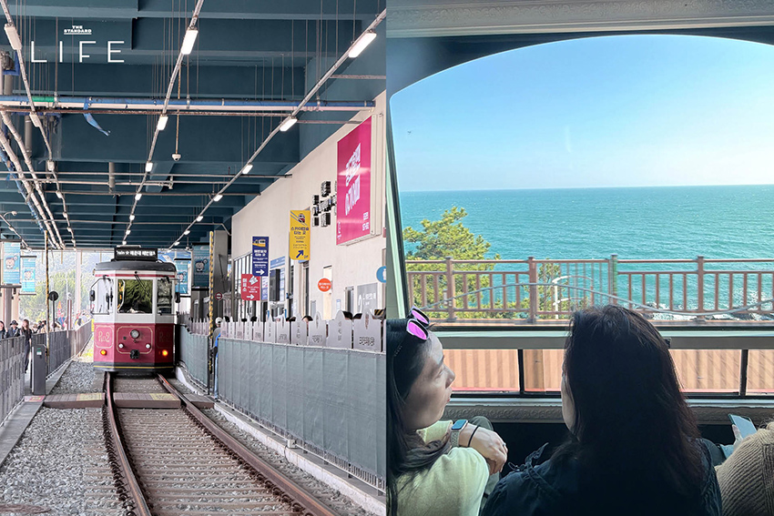 นักวิ่งมาราธอนวิ่งท่ามกลางดอกพ็อดกด (Cherry Blossom) บานสะพรั่งที่เมืองคยองจู ประเทศเกาหลีใต้ 17