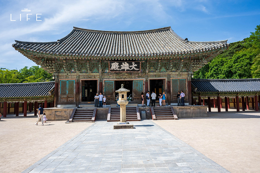 นักวิ่งมาราธอนวิ่งท่ามกลางดอกพ็อดกด (Cherry Blossom) บานสะพรั่งที่เมืองคยองจู ประเทศเกาหลีใต้ 7