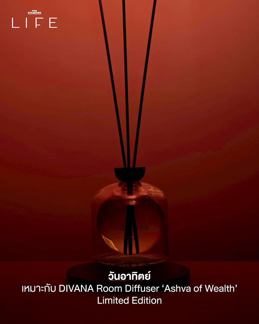 ภาพ Home Diffuser และเทียนหอมจากแบรนด์ต่างๆ จัดวางอย่างสวยงาม 1