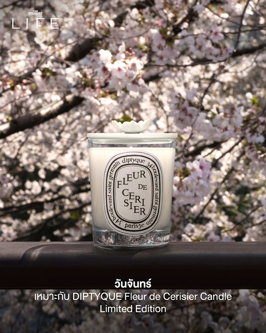 ภาพ Home Diffuser และเทียนหอมจากแบรนด์ต่างๆ จัดวางอย่างสวยงาม 2