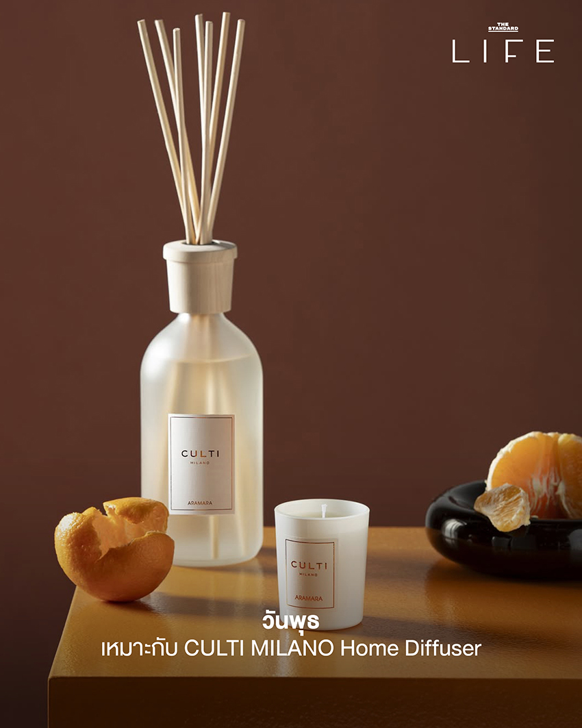 ภาพ Home Diffuser และเทียนหอมจากแบรนด์ต่างๆ จัดวางอย่างสวยงาม 4