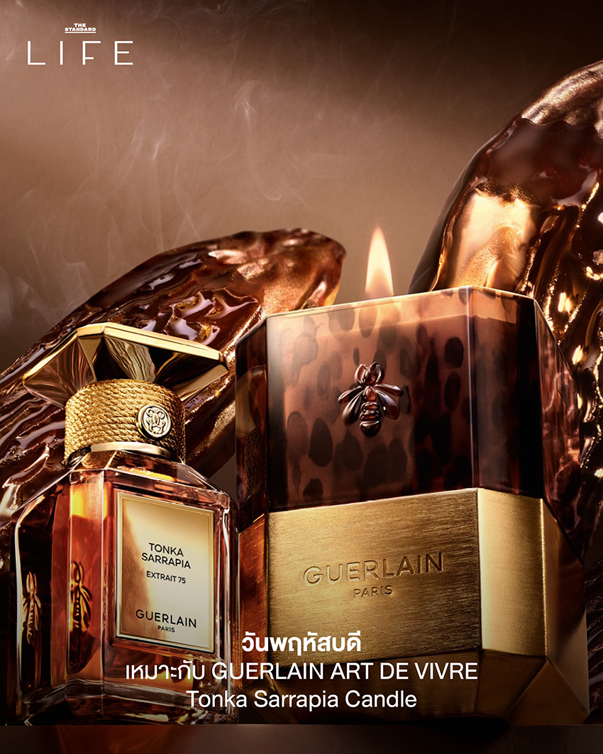 ภาพ Home Diffuser และเทียนหอมจากแบรนด์ต่างๆ จัดวางอย่างสวยงาม 5