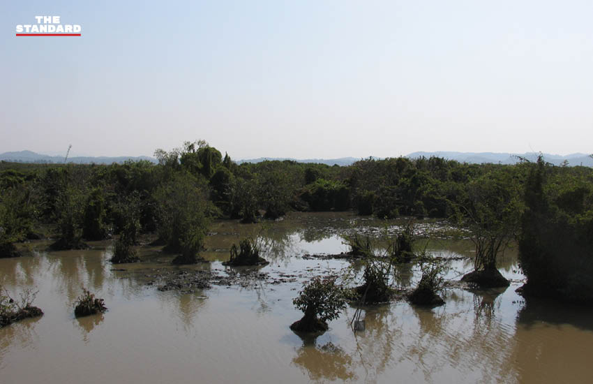 ภาพมุมสูงเวียงหนองหล่ม แสดงถึงการเปลี่ยนแปลงจากพื้นที่ชุ่มน้ำสู่โครงการอ่างเก็บน้ำขนาดใหญ่ 2
