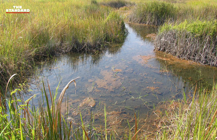 ภาพมุมสูงเวียงหนองหล่ม แสดงถึงการเปลี่ยนแปลงจากพื้นที่ชุ่มน้ำสู่โครงการอ่างเก็บน้ำขนาดใหญ่ 3