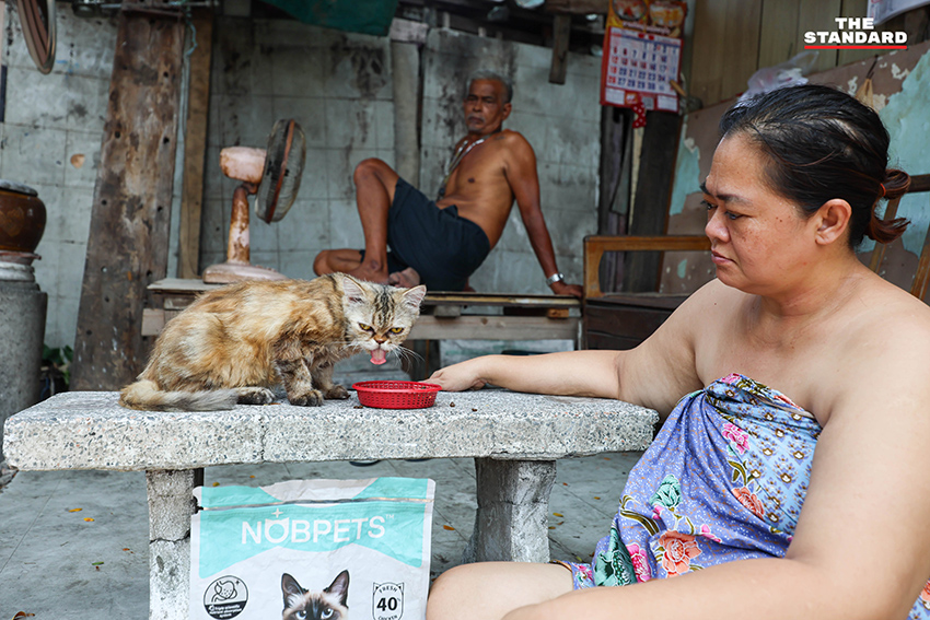 ภาพประกอบสภาพอากาศร้อนจัดและพายุฝนฟ้าคะนองในกรุงเทพฯ ตามประกาศกรมอุตุนิยมวิทยา 1
