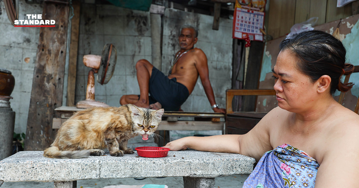 ภาพประกอบสภาพอากาศร้อนจัดและพายุฝนฟ้าคะนองในกรุงเทพฯ ตามประกาศกรมอุตุนิยมวิทยา