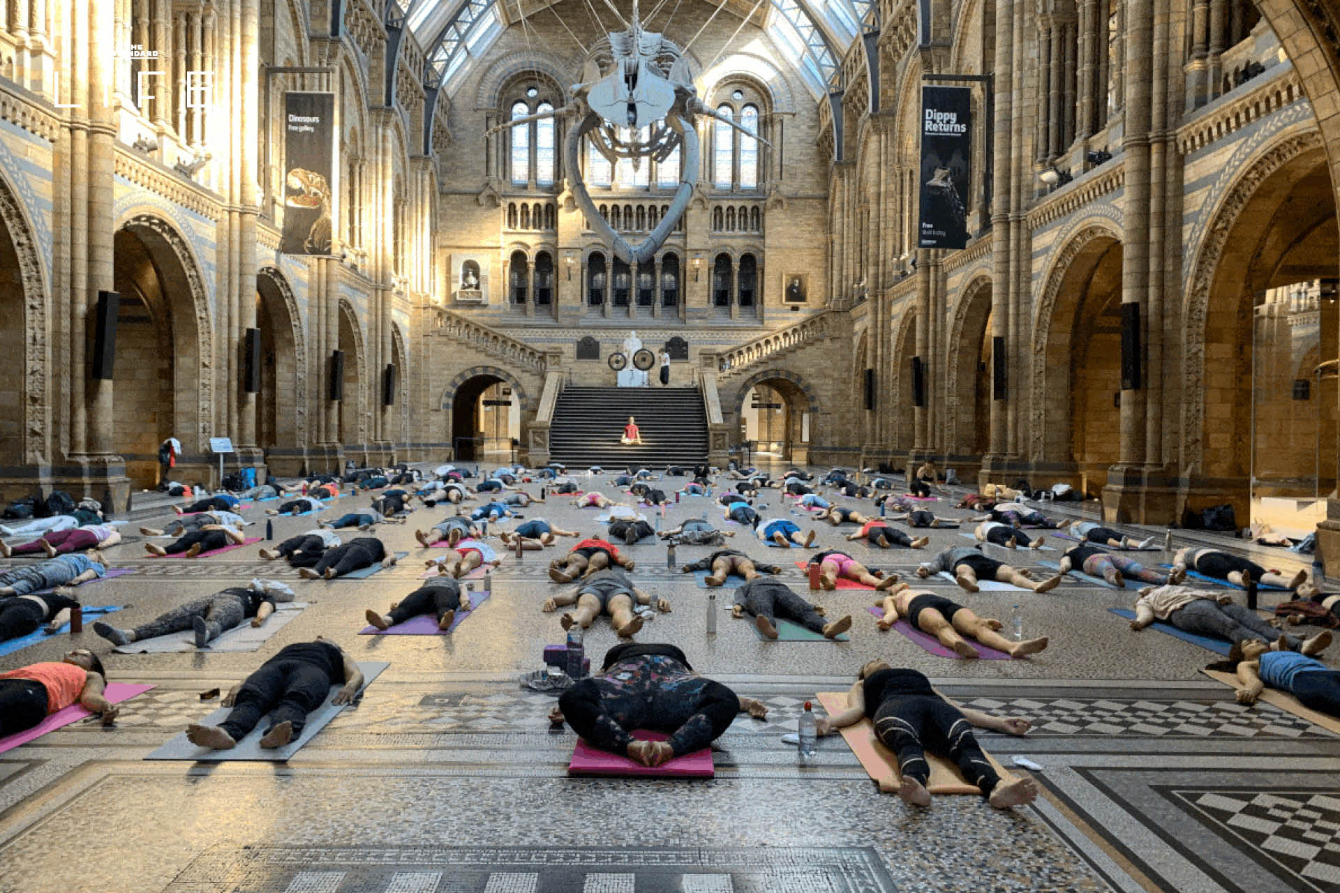 ภาพกิจกรรม Wellness Activity และ Workout ในโบราณสถานและพิพิธภัณฑ์ทั่วโลก 4