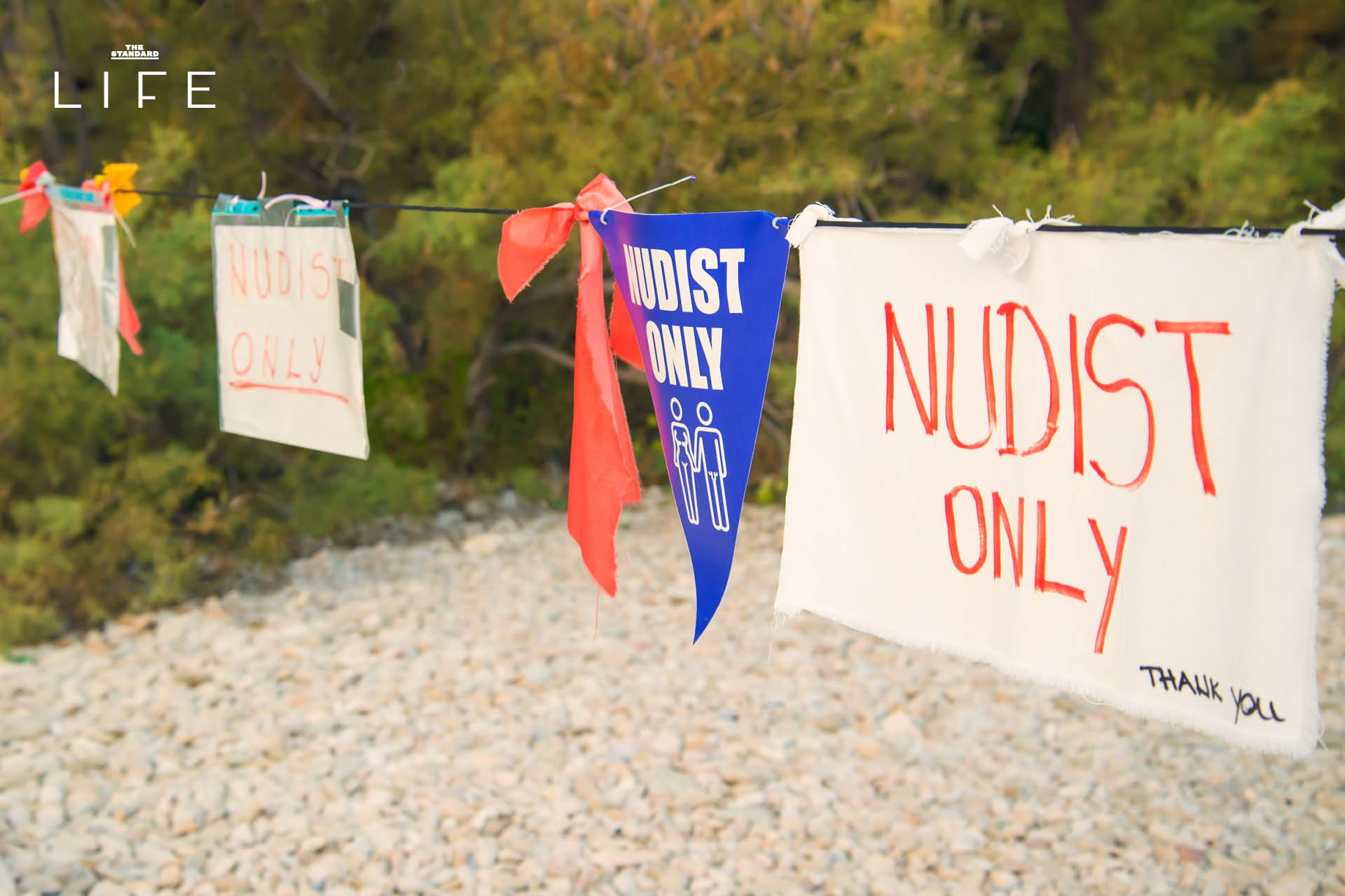 ภาพกิจกรรม Naked Swimming ที่สะท้อนอิสระและการกลับคืนสู่ธรรมชาติ 1