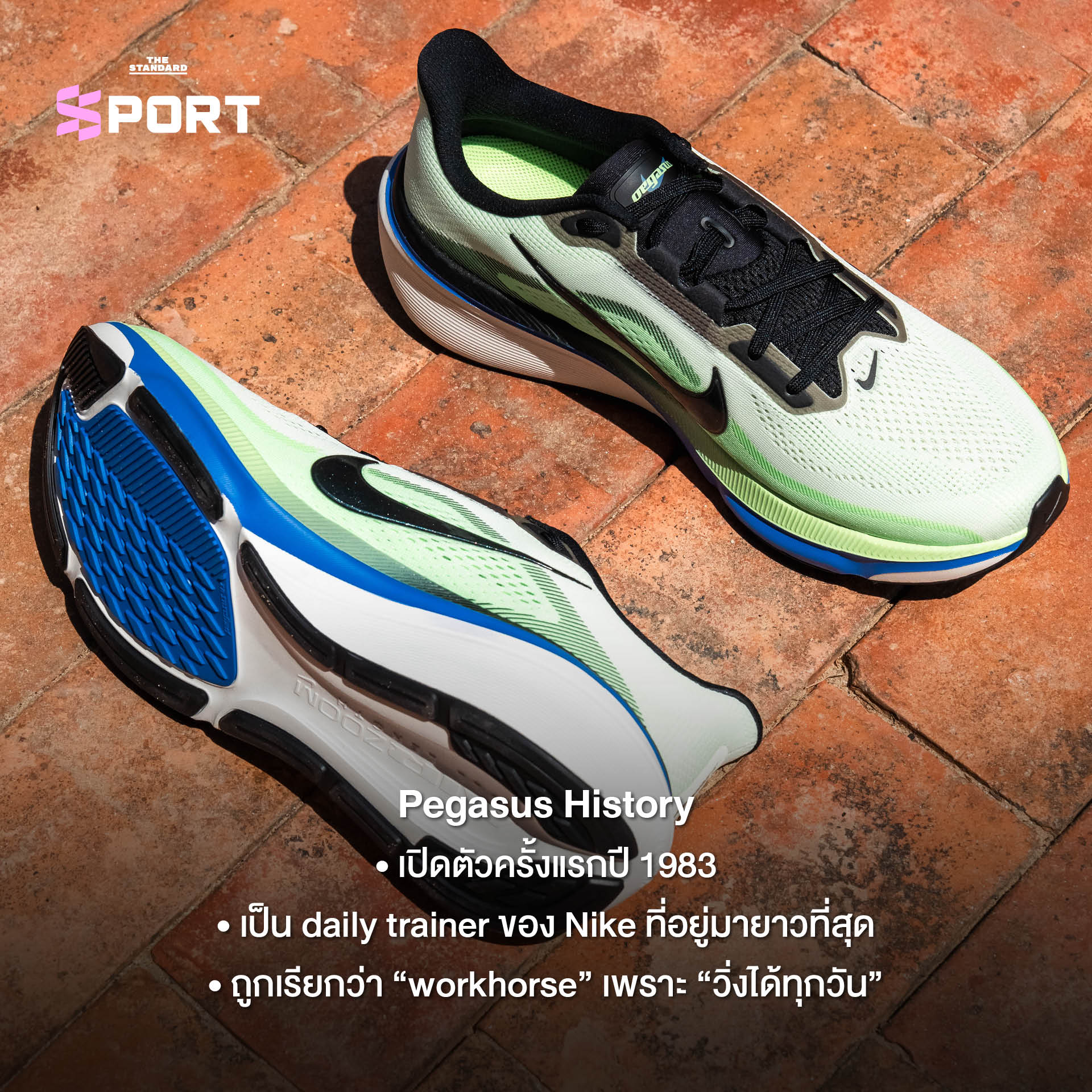 รองเท้าวิ่ง Nike Pegasus 42 สีขาว แสดงเทคโนโลยี Air Zoom เต็มแผ่น 1