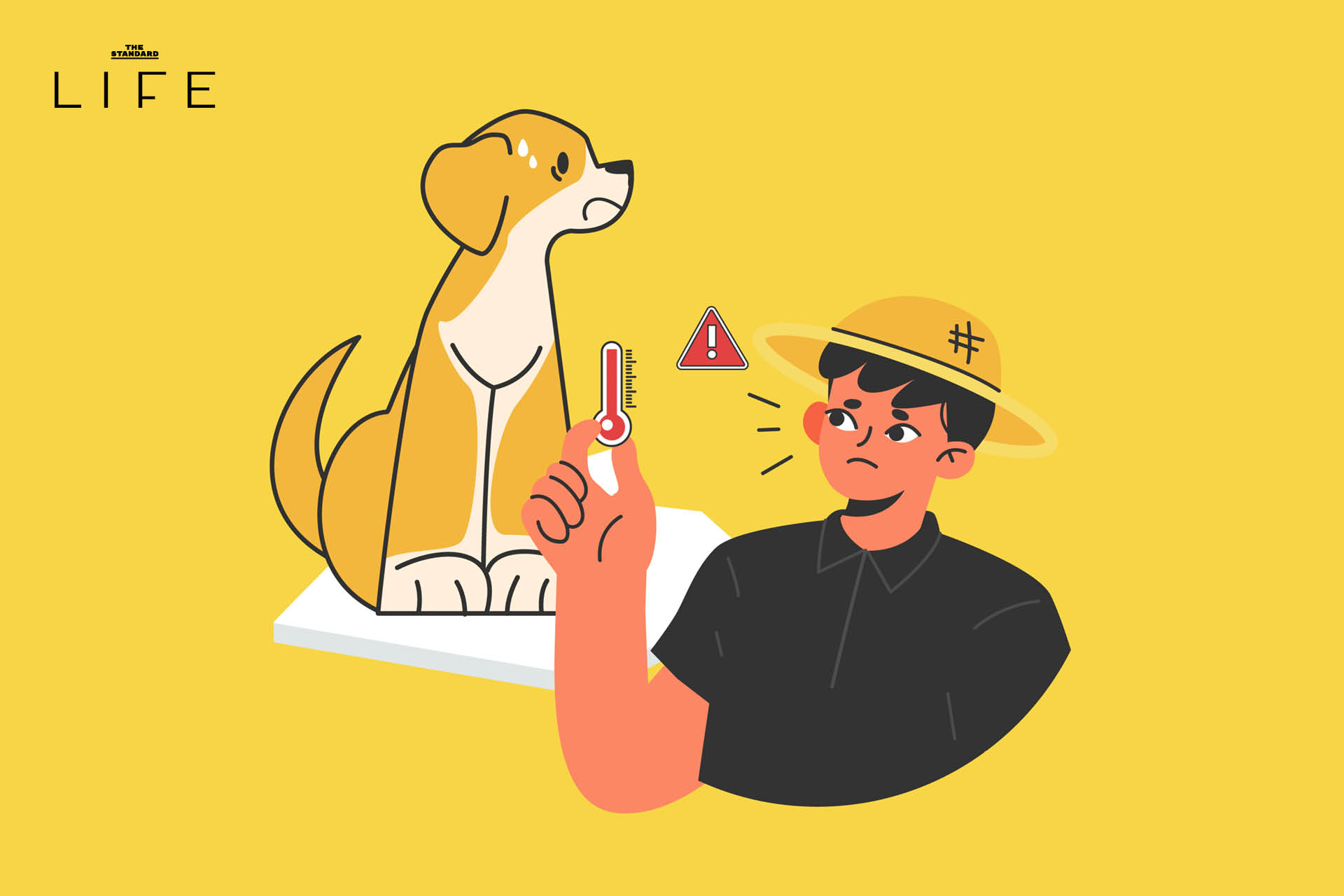 สุนัขและแมว แสดงอาการ 'ฮีตสโตรก' ในช่วงหน้าร้อน พร้อมคำแนะนำการปฐมพยาบาล 2