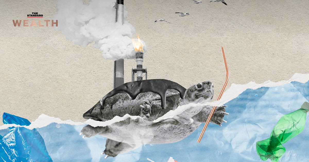 เต่าทะเลว่ายท่ามกลางพลาสติกสะท้อนวิกฤตขยะสิ่งแวดล้อม