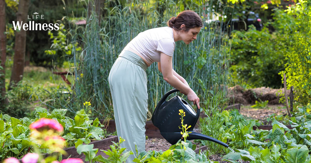 ภาพประกอบแนวคิด Puttering ผู้หญิงกำลังรดน้ำต้นไม้ในบ้านอย่างผ่อนคลาย