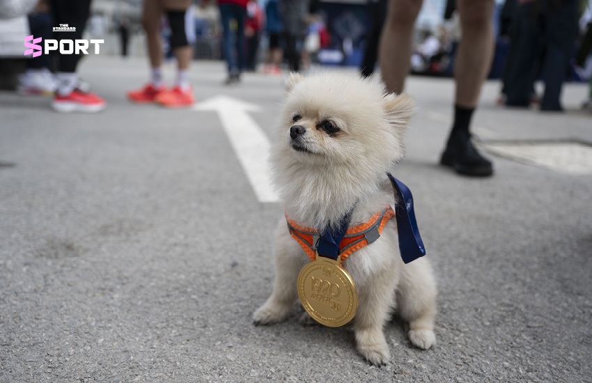 นักวิ่งออกกำลังกายร่วมกับสุนัขคู่ใจในกิจกรรมวิ่ง 1