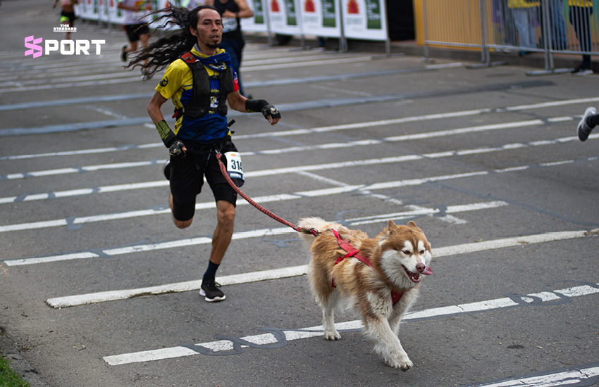 นักวิ่งออกกำลังกายร่วมกับสุนัขคู่ใจในกิจกรรมวิ่ง 4