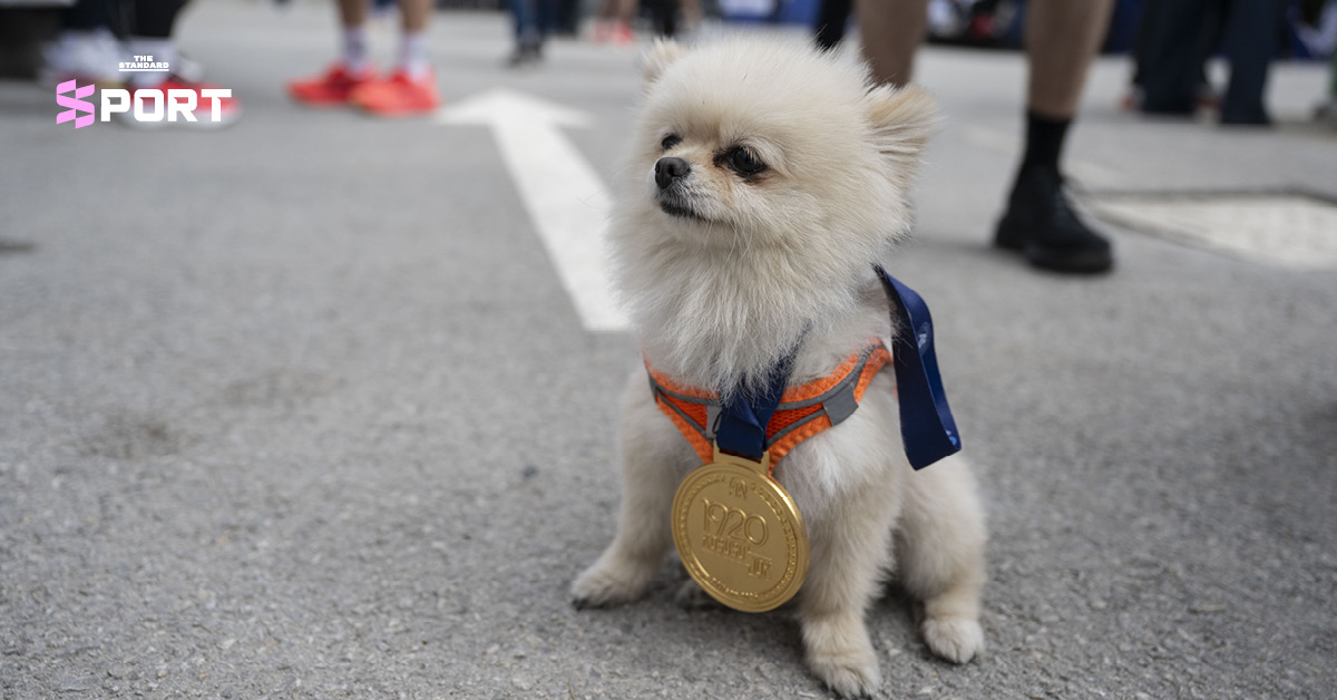 นักวิ่งออกกำลังกายร่วมกับสุนัขคู่ใจในกิจกรรมวิ่ง