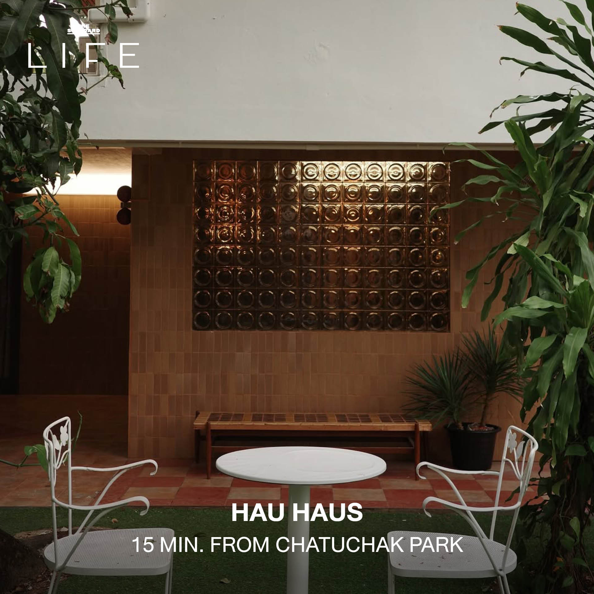 ภาพรวมคาเฟ่สำหรับนักวิ่ง 15 แห่งรอบสวนจตุจักรและสวนรถไฟ 10