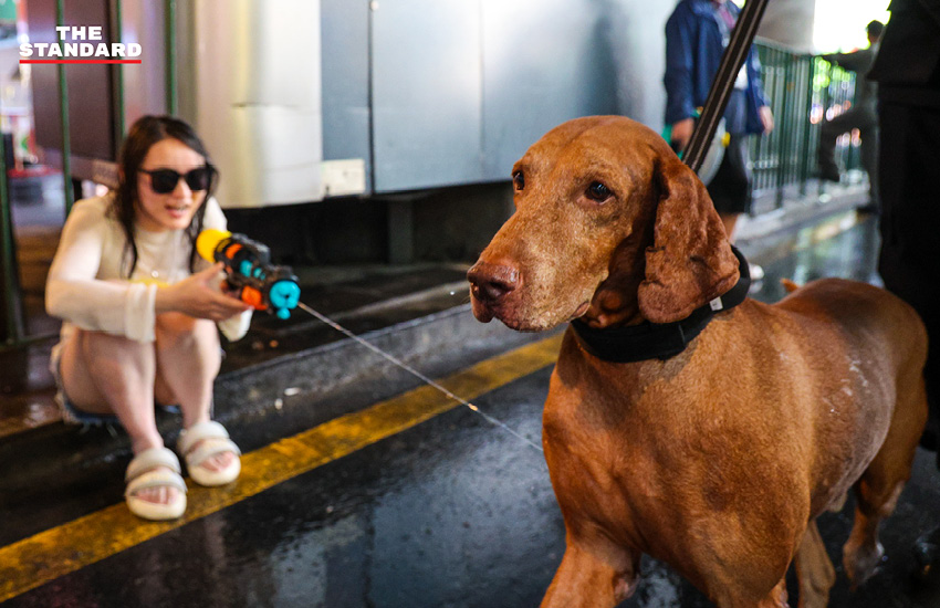 นักท่องเที่ยวเล่นน้ำ สงกรานต์ บน ถนน สีลม 2569 ท่ามกลางมาตรการรักษาความปลอดภัย 14