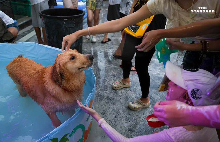 บรรยากาศผู้คนเล่นน้ำสงกรานต์อย่างคึกคักที่ถนนโชคชัย 4 พร้อมรถจักรยานยนต์และเสียงเพลง 21