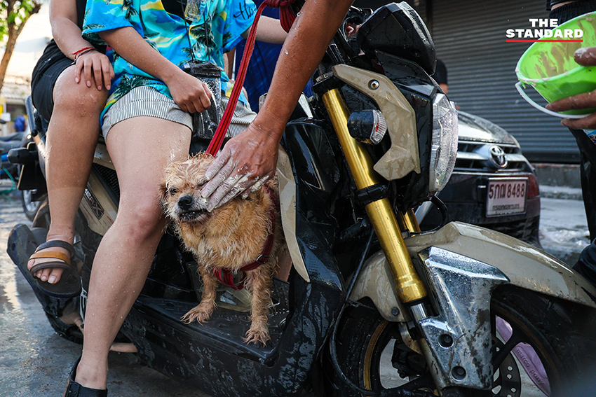 บรรยากาศงานสงกรานต์บนถนน ลาดพร้าว 101 ที่เต็มไปด้วยผู้คนเล่นน้ำอย่างสนุกสนานและคึกคัก 1