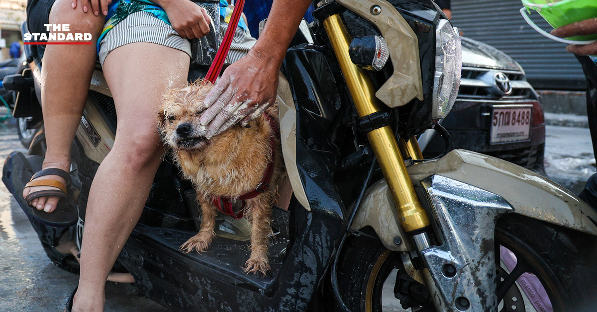 บรรยากาศงานสงกรานต์บนถนน ลาดพร้าว 101 ที่เต็มไปด้วยผู้คนเล่นน้ำอย่างสนุกสนานและคึกคัก