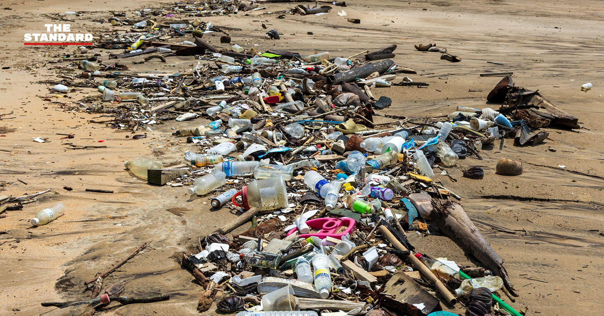 คนคัดแยกขยะในกรุงเทพฯ กำลังคัดแยกขวดพลาสติกเพื่อส่งขายรีไซเคิล