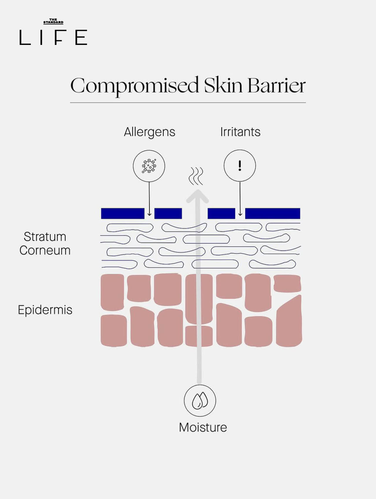 ภาพผลิตภัณฑ์ Augustinus Bader The Vitamin C Serum พร้อมข้อมูลวิทยาศาสตร์การฟื้นฟูผิว 3