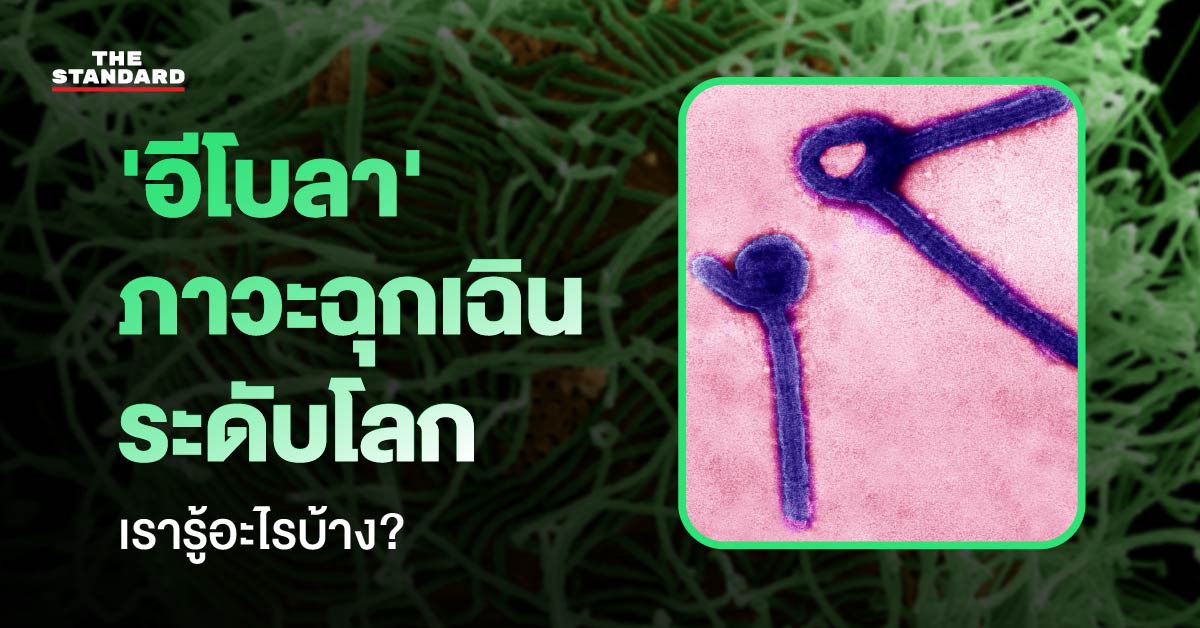 ภาพประกอบสถานการณ์การระบาดของไวรัส อีโบลา ที่องค์การอนามัยโลกประกาศเป็นภาวะฉุกเฉินระดับโลก