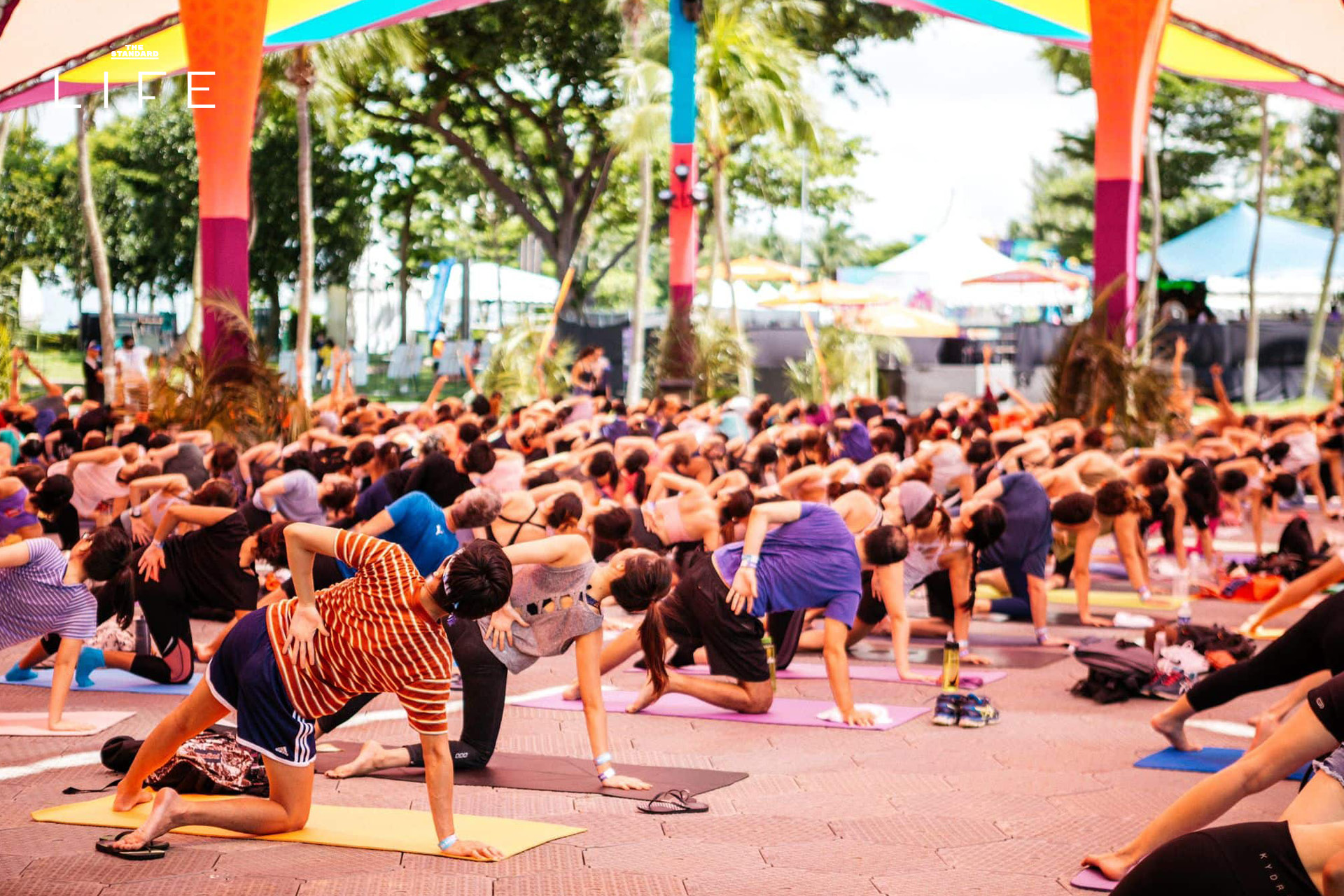 ภาพเทศกาล Glow Festival 2026 Wellness บนเกาะเซนโตซ่า ประเทศสิงคโปร์ 2