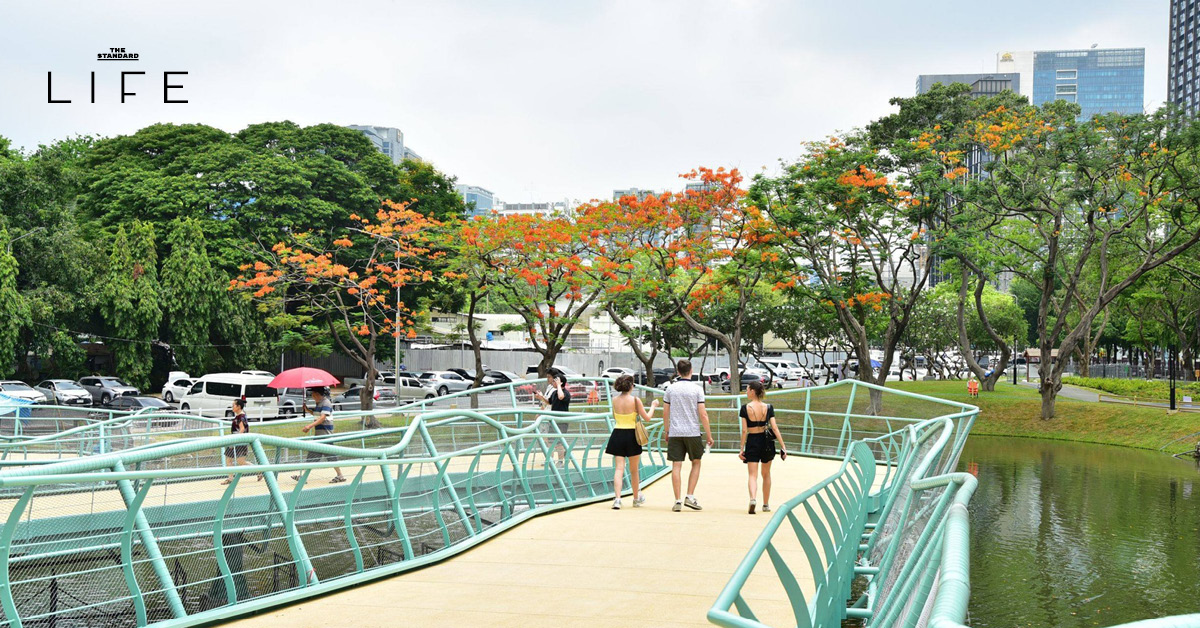ภาพมุมกว้างของสะพานเขียวโฉมใหม่ที่เชื่อมระหว่างสวนลุมพินีและสวนเบญจกิติ มีผู้คนกำลังวิ่งและเดินออกกำลังกาย