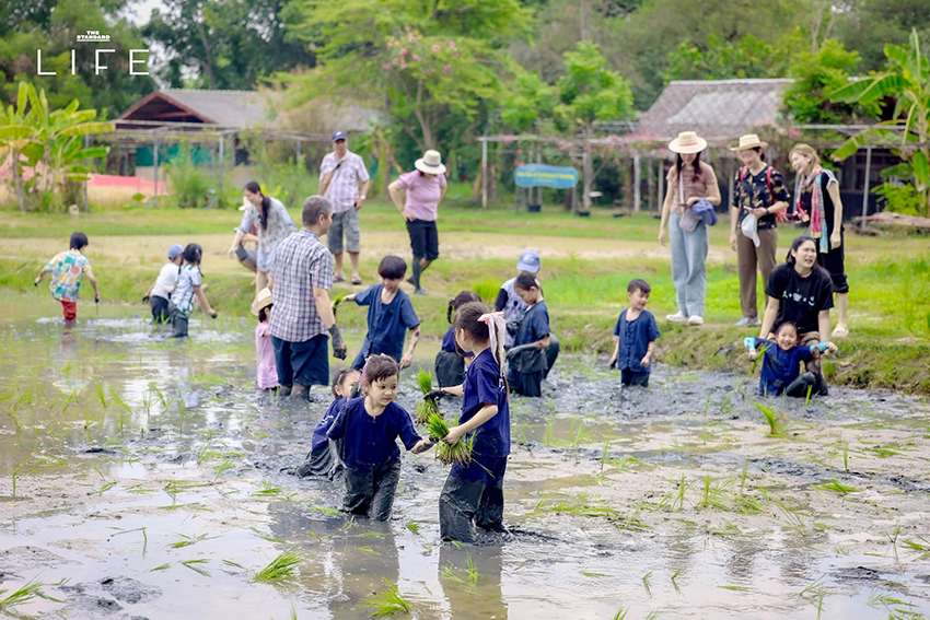 ภาพคนเดินเท้าเปล่าบนผืนหญ้าในสวนธรรมชาติ เพื่อสื่อถึงการทำกราวด์ดิ้งและผ่อนคลายความเครียดในกรุงเทพฯ 6
