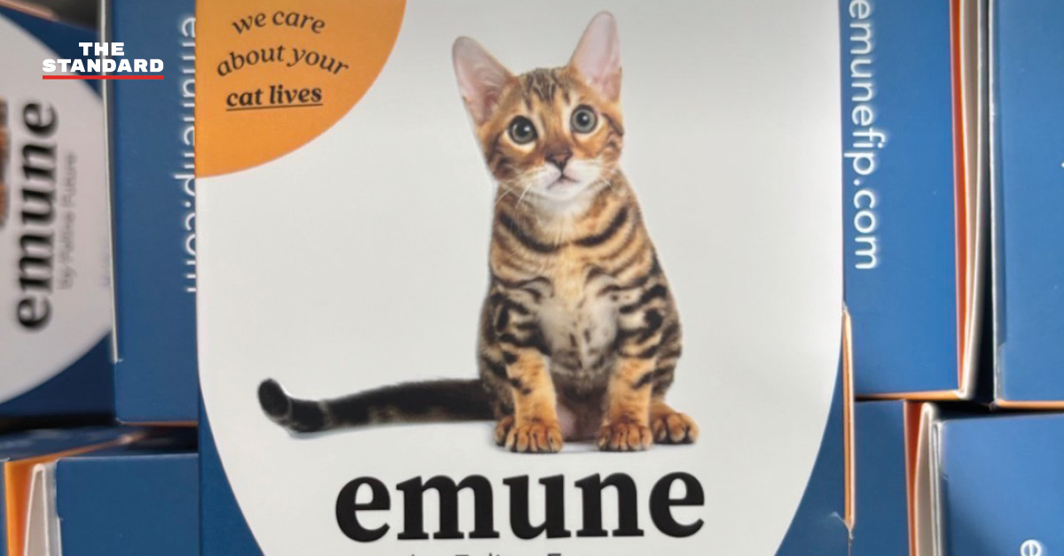 เจ้าหน้าที่ตำรวจและกรมปศุสัตว์แถลงข่าวพร้อมของกลางยาแมวเถื่อนยี่ห้อ Emune ที่ถูกยึดได้