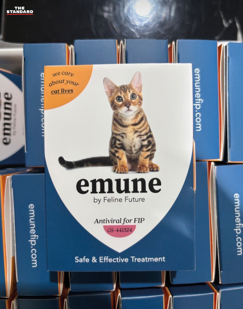 เจ้าหน้าที่ตำรวจและกรมปศุสัตว์แถลงข่าวพร้อมของกลางยาแมวเถื่อนยี่ห้อ Emune ที่ถูกยึดได้ 1