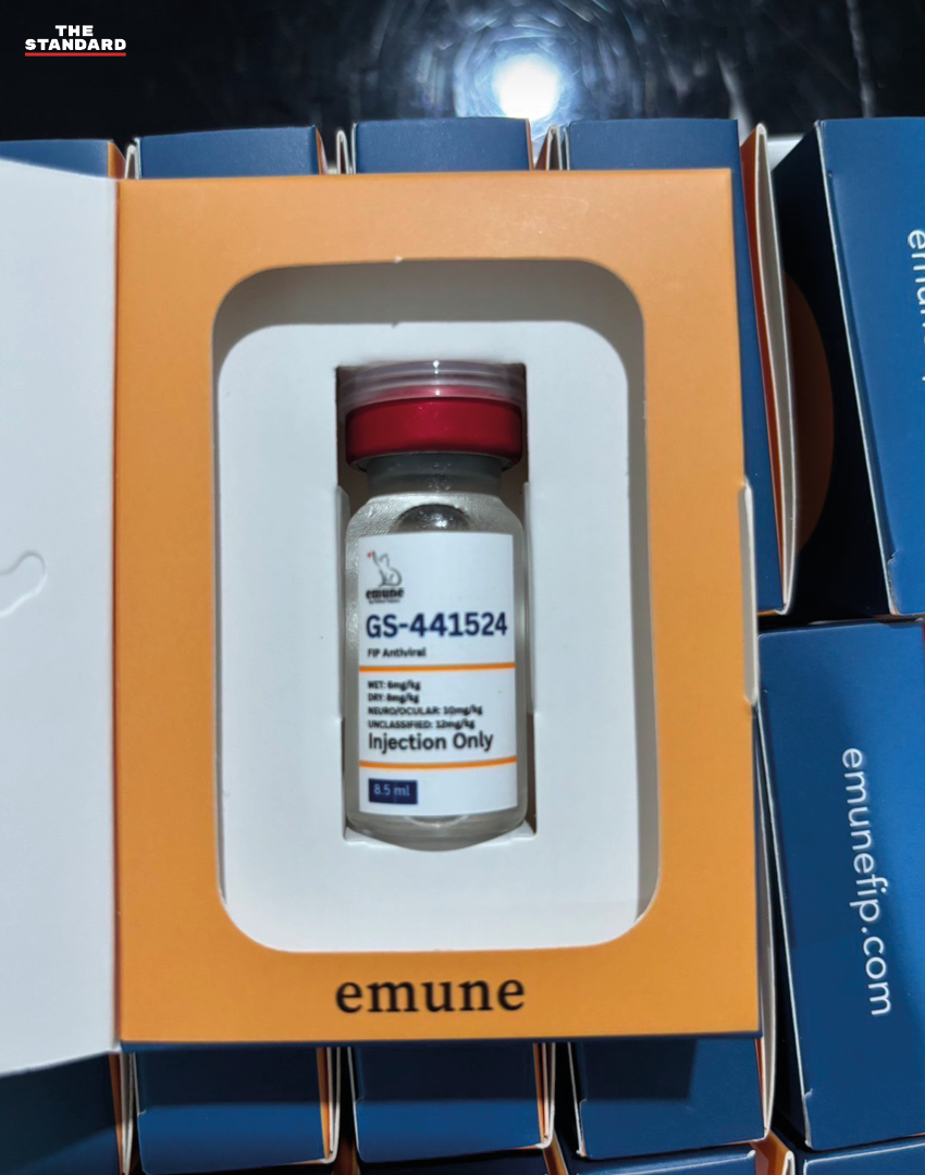เจ้าหน้าที่ตำรวจและกรมปศุสัตว์แถลงข่าวพร้อมของกลางยาแมวเถื่อนยี่ห้อ Emune ที่ถูกยึดได้ 2
