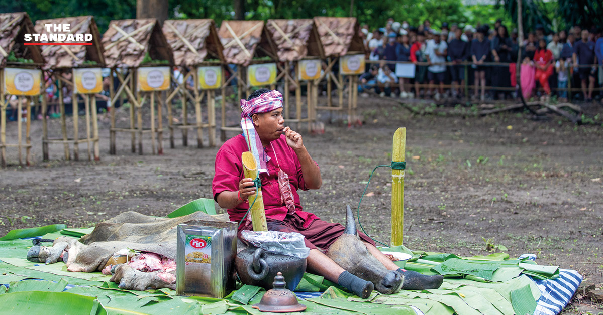 ภาพบรรยากาศพิธีเลี้ยงดง บวงสรวงปู่แสะ-ย่าแสะ ที่ดอยสุเทพ-ปุย จังหวัดเชียงใหม่