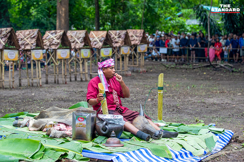 ภาพบรรยากาศพิธีเลี้ยงดง บวงสรวงปู่แสะ-ย่าแสะ ที่ดอยสุเทพ-ปุย จังหวัดเชียงใหม่ 1