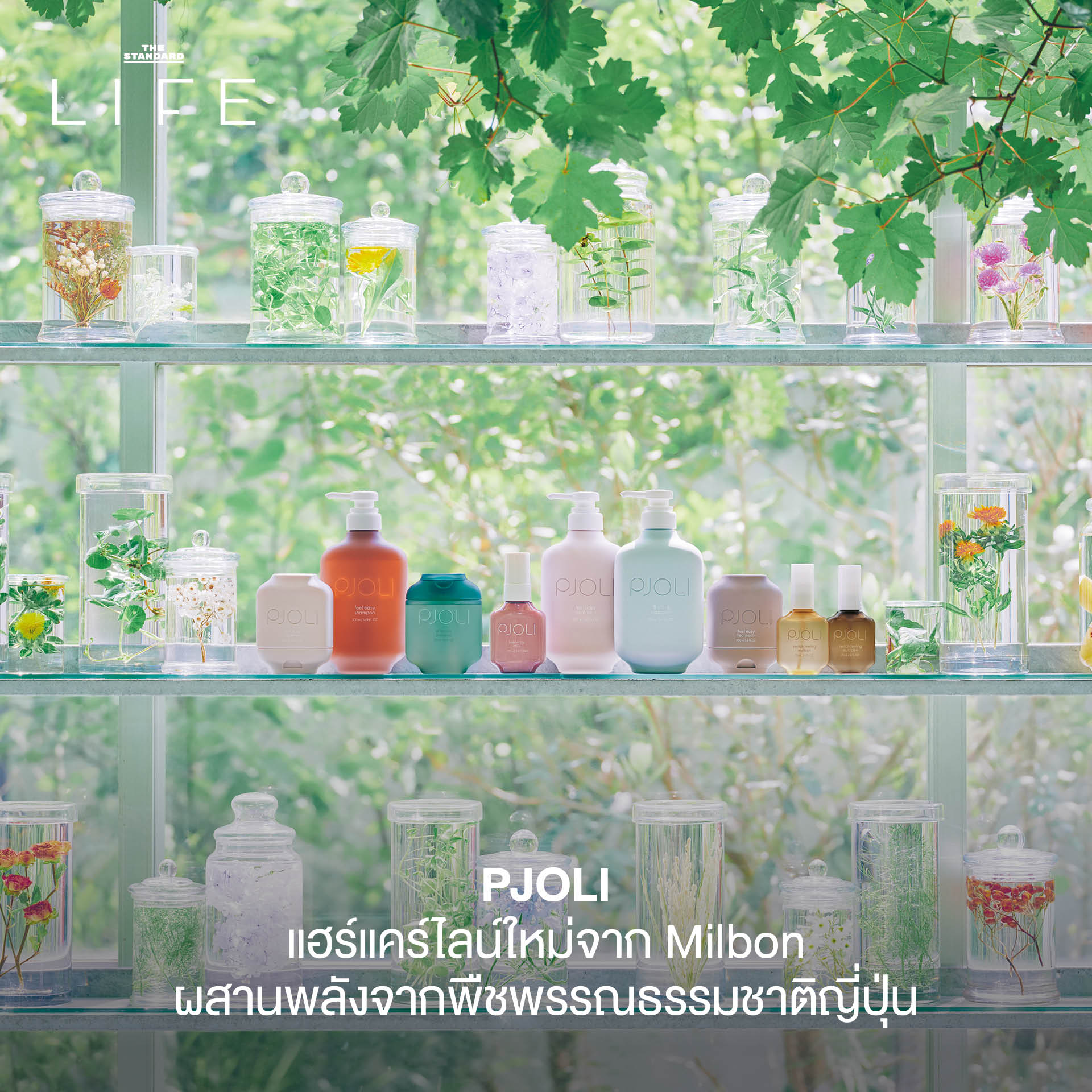ภาพประกอบ 6 เทคนิคความงามสไตล์ Natural Beauty 1