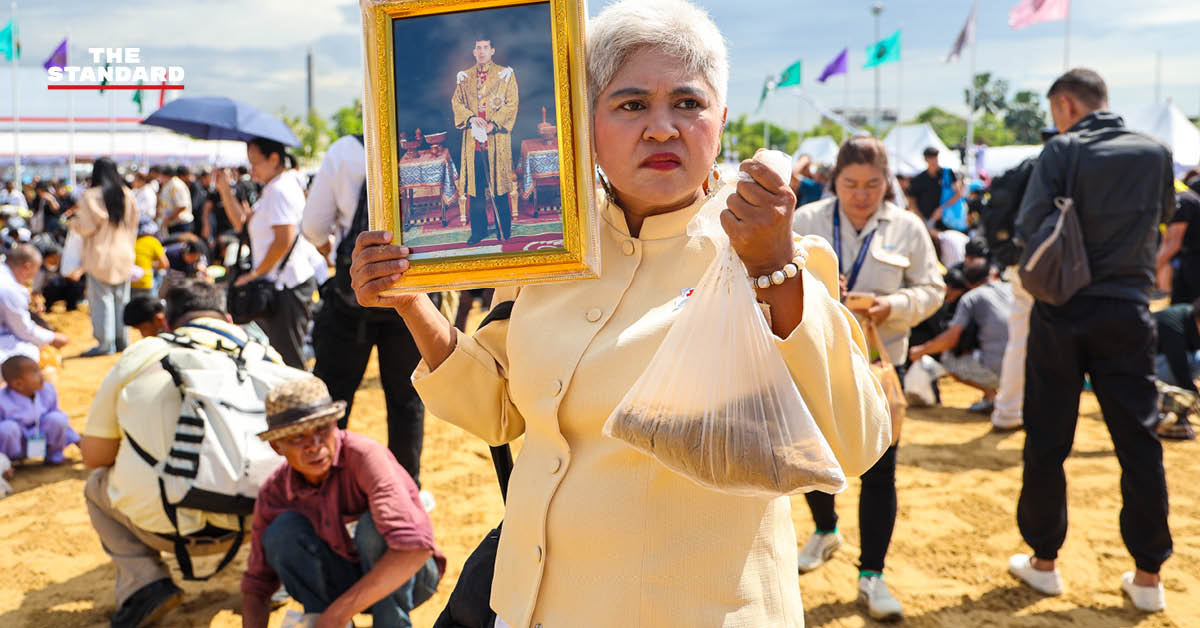 ประชาชนกำลังเก็บเมล็ดพันธุ์ข้าวพระราชทานบริเวณมณฑลพิธีท้องสนามหลวงหลังเสร็จสิ้นพระราชพิธีพืชมงคล
