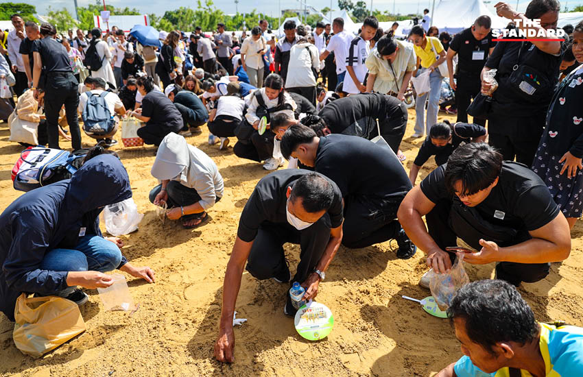 ประชาชนกำลังเก็บเมล็ดพันธุ์ข้าวพระราชทานบริเวณมณฑลพิธีท้องสนามหลวงหลังเสร็จสิ้นพระราชพิธีพืชมงคล 10