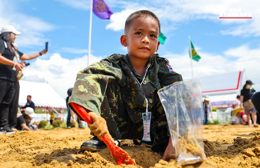 ประชาชนกำลังเก็บเมล็ดพันธุ์ข้าวพระราชทานบริเวณมณฑลพิธีท้องสนามหลวงหลังเสร็จสิ้นพระราชพิธีพืชมงคล 6