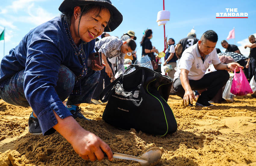 ประชาชนกำลังเก็บเมล็ดพันธุ์ข้าวพระราชทานบริเวณมณฑลพิธีท้องสนามหลวงหลังเสร็จสิ้นพระราชพิธีพืชมงคล 8