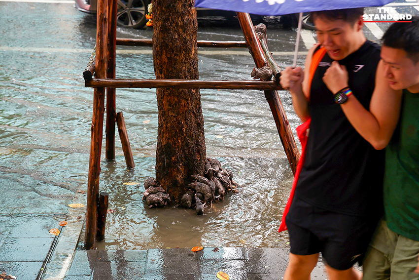 ภาพน้ำท่วมขังบนถนนสีลม มีหนูและผู้คนเดินฝ่าสายฝนในวันจัดกิจกรรม Bangkok Pride Parade 3