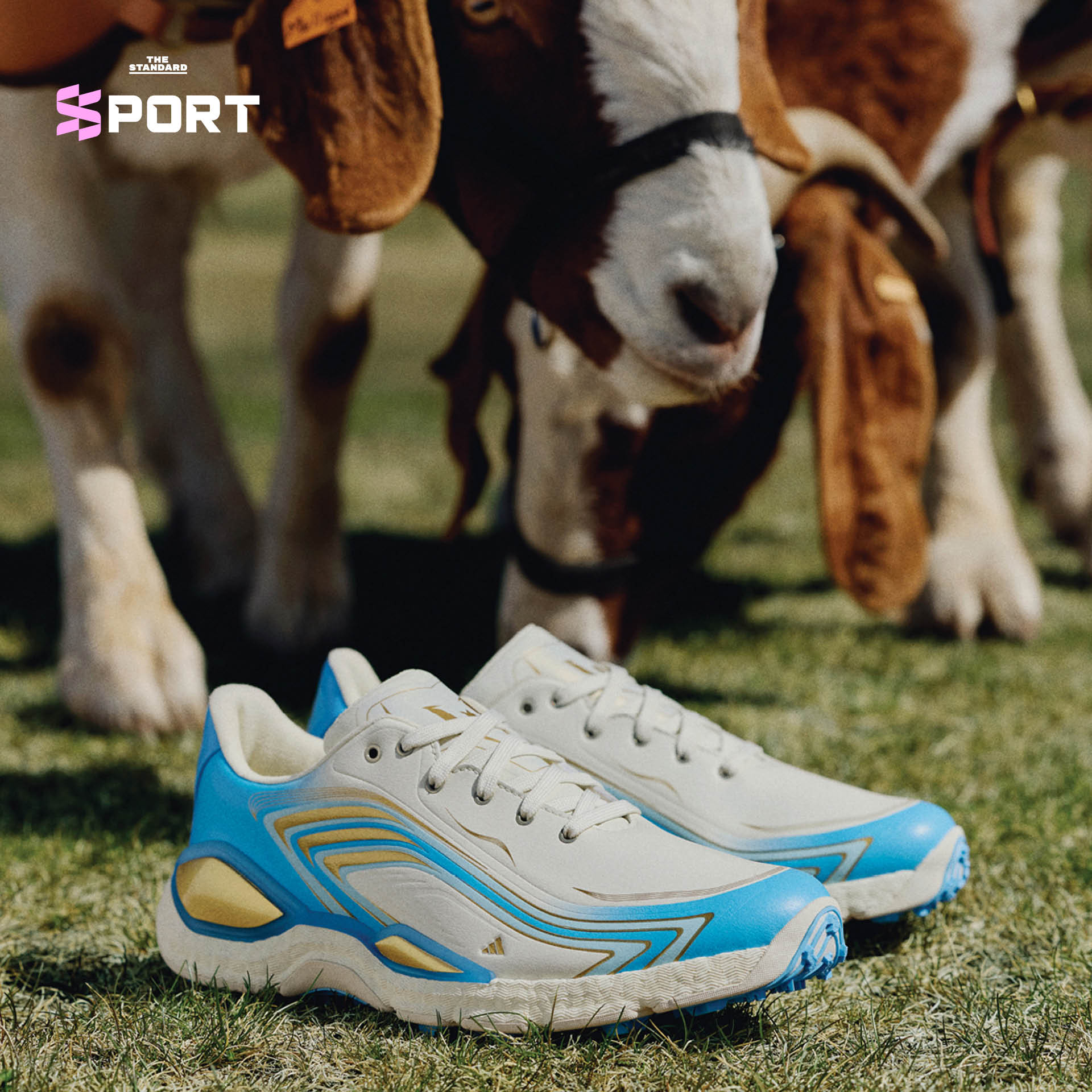 รองเท้ากอล์ฟ adidas CODECHAOS Messi รุ่นพิเศษ สีงาช้าง ทอง และฟ้าอ่อน 3
