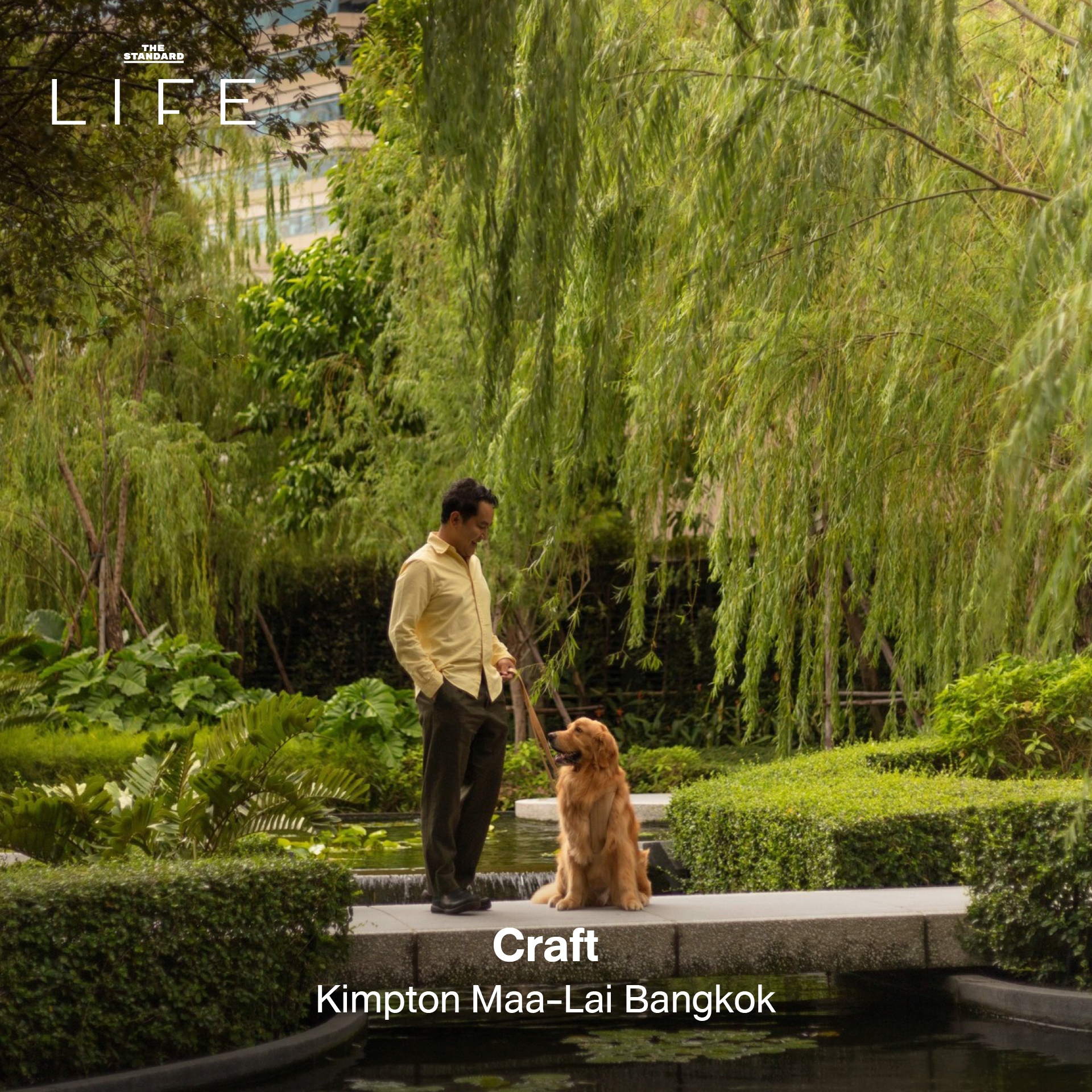 รูปภาพคาเฟ่ใต้ร่มไม้ บรรยากาศร่มรื่นในกรุงเทพฯ เหมาะสำหรับนักวิ่ง 1