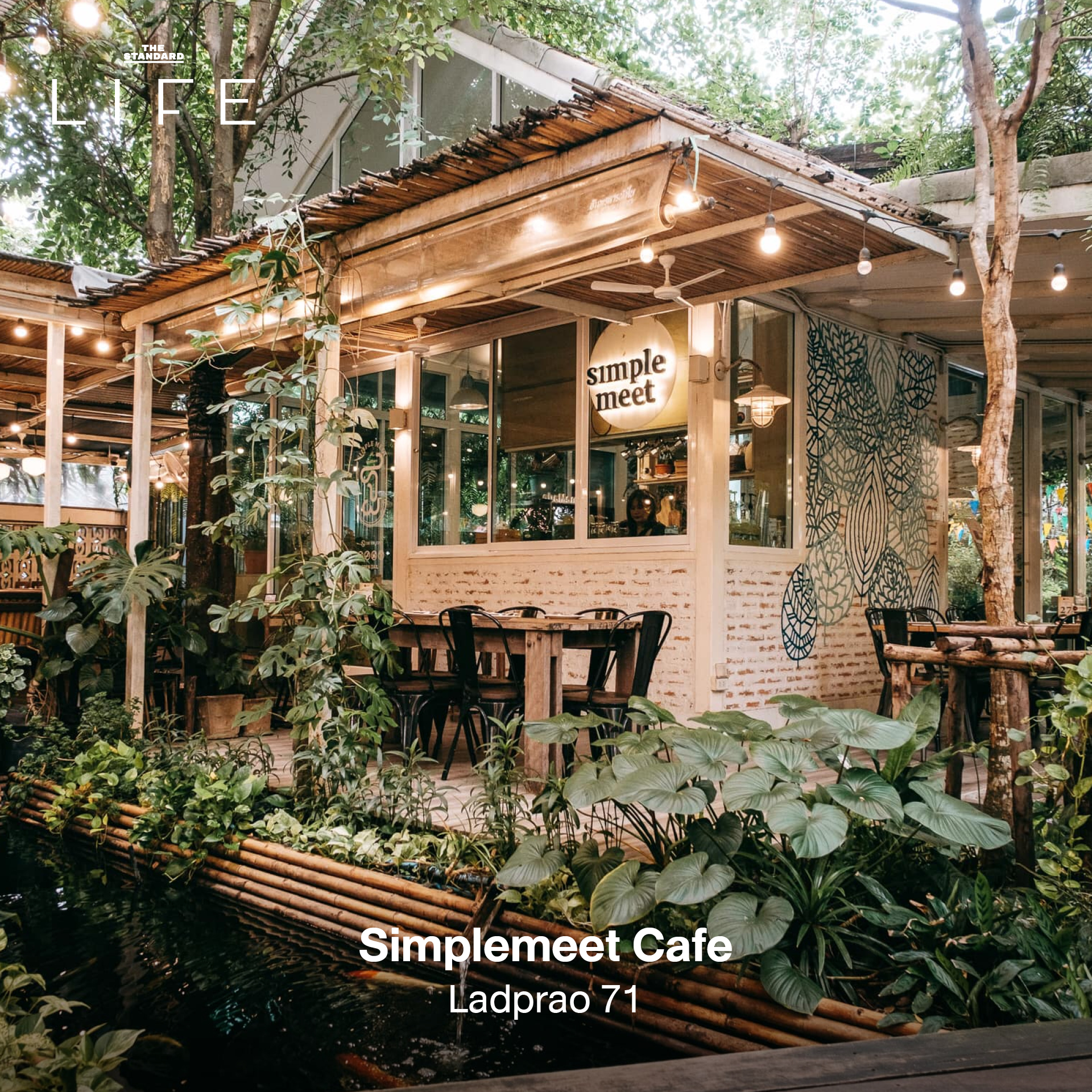 รูปภาพคาเฟ่ใต้ร่มไม้ บรรยากาศร่มรื่นในกรุงเทพฯ เหมาะสำหรับนักวิ่ง 15