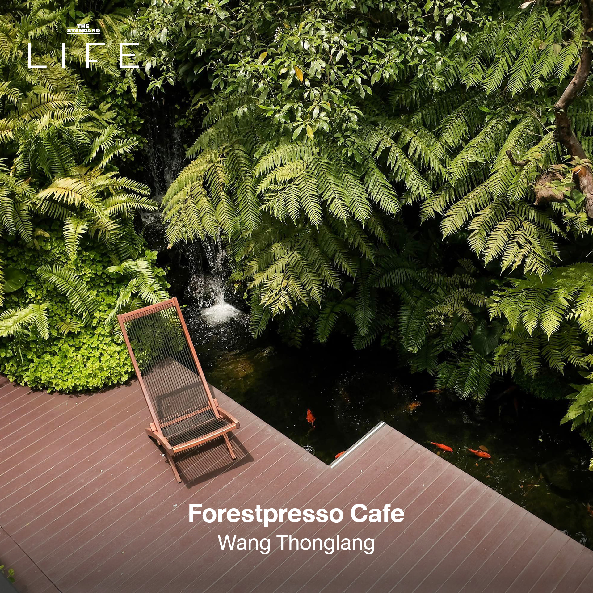 รูปภาพคาเฟ่ใต้ร่มไม้ บรรยากาศร่มรื่นในกรุงเทพฯ เหมาะสำหรับนักวิ่ง 16
